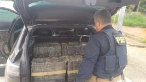 PRF apreende quase 185 kg de maconha, no município de Mamanguape 1 prf apreende quase 185 kg de maconha no municipio de mamanguape 1