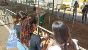 joao azevedo autoriza licitacao para construcao de vila paralimpica 4