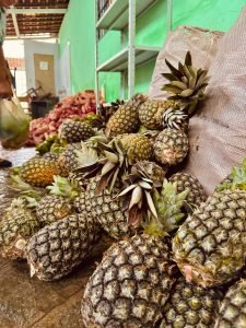 conquista santa rita integra sistema nacional de combate a fome e implementara acoes de seguranca alimentar e nutricional 1