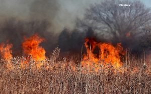 mppb se une a forca tarefa de combate a incendio na serra do cruzeiro no sertao