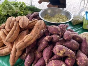 rascunho automatico 9