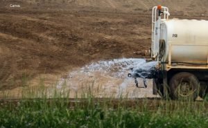 mp instaura procedimento para apurar denuncia em serra branca