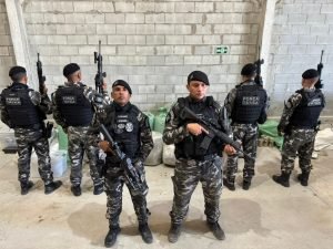 operacao contra o narcotrafico apreende quase meia tonelada de drogas na grande joao pessoa