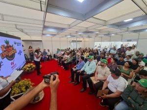 cultura do abacaxi e tema de exposicao e seminario em itapororoca 1