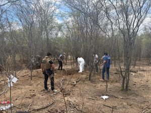 operacao ciclo cruel policia civil prende dois investigados por homicidio em monteiro